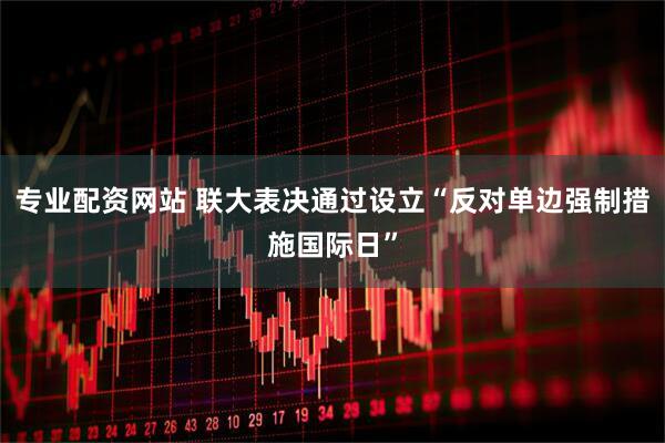 专业配资网站 联大表决通过设立“反对单边强制措施国际日”