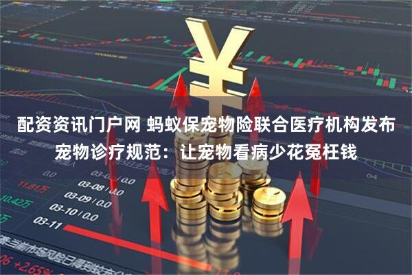 配资资讯门户网 蚂蚁保宠物险联合医疗机构发布宠物诊疗规范：让宠物看病少花冤枉钱
